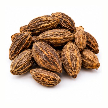 অভয়া